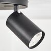 Foren Plafonnier, Spot de plafond LED Noir, 3 lumières, Changeur de couleurs