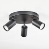 Foren Plafonnier, Spot de plafond LED Noir, 3 lumières, Changeur de couleurs