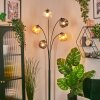 Ripoll Boule lumineuse, Lampadaire Ambre, Clair, Fumé, 5 lumières
