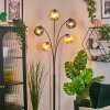 Ripoll Boule lumineuse, Lampadaire Ambre, Fumé, 5 lumières