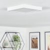 Finsrud Luminaire de salle de bain, Plafonnier, Panel LED Blanc, 1 lumière