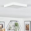 Finsrud Luminaire de salle de bain, Plafonnier, Panel LED Blanc, 1 lumière