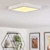 Finsrud Luminaire de salle de bain, Plafonnier, Panel LED Blanc, 1 lumière