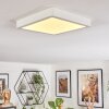 Finsrud Luminaire de salle de bain, Plafonnier, Panel LED Blanc, 1 lumière