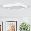 Finsrud Luminaire de salle de bain, Plafonnier, Panel LED Blanc, 1 lumière