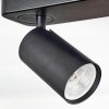 Foren Plafonnier, Spot de plafond LED Noir, 4 lumières, Changeur de couleurs