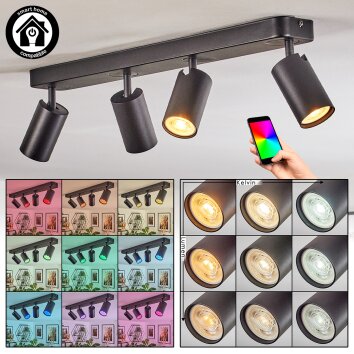Foren Plafonnier, Spot de plafond LED Noir, 4 lumières, Changeur de couleurs Foren Plafonnier, Spot de plafond LED Noir, 4 lumières, Changeur de couleurs
