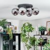 Gastor Plafonnier, Boule lumineuse Fumé, 4 lumières