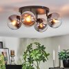 Gastor Plafonnier, Boule lumineuse Chrome, Clair, Fumé, 4 lumières