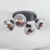Gastor Plafonnier, Boule lumineuse Chrome, Clair, Fumé, 4 lumières