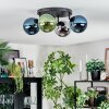 Gastor Plafonnier, Boule lumineuse Bleu, Chrome, Vert, Fumé, 4 lumières