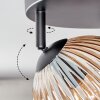 Koyoto Plafonnier, Boule lumineuse Ambre, Clair, Fumé, 4 lumières