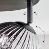 Ripoll Plafonnier, Boule lumineuse Chrome, Fumé, 4 lumières