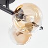 Chehalis Plafonnier, Boule lumineuse Ambre, Clair, 4 lumières