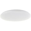 Kieran Plafonnier Luminaires Brilliant LED Blanc, 1 lumière, Télécommandes