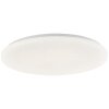 Kieran Plafonnier Luminaires Brilliant LED Blanc, 1 lumière, Télécommandes