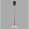 ELIPSA Suspension Luminaires Paul Neuhaus LED Noir, 1 lumière