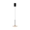 ELIPSA Suspension Luminaires Paul Neuhaus LED Noir, 1 lumière