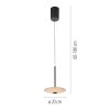 ELIPSA Suspension Luminaires Paul Neuhaus LED Noir, 1 lumière