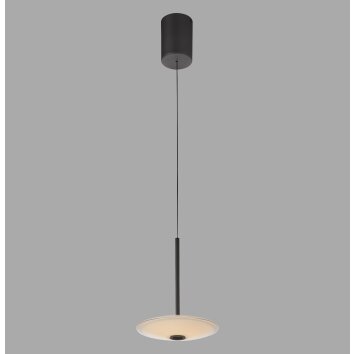 ELIPSA Suspension Luminaires Paul Neuhaus LED Noir, 1 lumière
