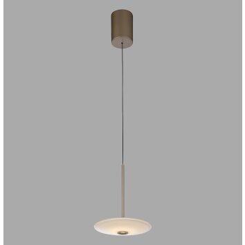 ELIPSA Suspension Luminaires Paul Neuhaus LED Bronze, 1 lumière