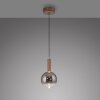 BOWL Suspension Luminaires Paul Neuhaus LED Brun, 1 lumière