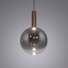 BOWL Suspension Luminaires Paul Neuhaus LED Brun, 1 lumière