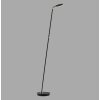 BENTE Lampadaire Luminaires Paul Neuhaus LED Noir, 1 lumière