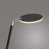 BENTE Lampadaire Luminaires Paul Neuhaus LED Noir, 1 lumière