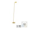 BENTE Lampadaire Luminaires Paul Neuhaus LED Laiton, 1 lumière