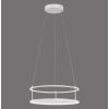 CONTURA Suspension Luminaires Paul Neuhaus LED Blanc, 2 lumières