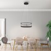 CONNI Suspension Luminaires Paul Neuhaus LED Noir, 2 lumières