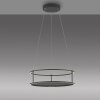 CONNI Suspension Luminaires Paul Neuhaus LED Noir, 2 lumières