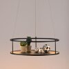CONTURA Suspension Luminaires Paul Neuhaus LED Noir, 2 lumières