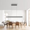 Square Suspension Luminaires Paul Neuhaus LED Anthracite, 6 lumières