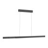 Square Suspension Luminaires Paul Neuhaus LED Anthracite, 6 lumières
