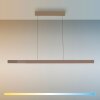 Square Suspension Luminaires Paul Neuhaus LED Bronze, 6 lumières