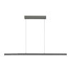 Lift Suspension Luminaires Paul Neuhaus LED Anthracite, 3 lumières