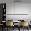 Lift Suspension Luminaires Paul Neuhaus LED Anthracite, 3 lumières