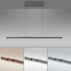 Lift Suspension Luminaires Paul Neuhaus LED Anthracite, 3 lumières