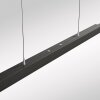 Lift Suspension Luminaires Paul Neuhaus LED Anthracite, 3 lumières