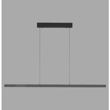 Lift Suspension Luminaires Paul Neuhaus LED Anthracite, 3 lumières