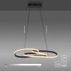 TWIST Suspension Luminaires Paul Neuhaus LED Noir, 1 lumière