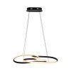 TWIST Suspension Luminaires Paul Neuhaus LED Noir, 1 lumière