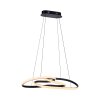TWIST Suspension Luminaires Paul Neuhaus LED Noir, 1 lumière