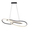 TWIST Suspension Luminaires Paul Neuhaus LED Noir, 1 lumière