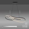 TWIST Suspension Luminaires Paul Neuhaus LED Noir, 1 lumière