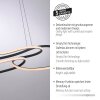 TWIST Suspension Luminaires Paul Neuhaus LED Noir, 1 lumière