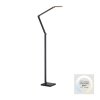 SAMSKY Lampadaire Luminaires Paul Neuhaus LED Gris, 1 lumière