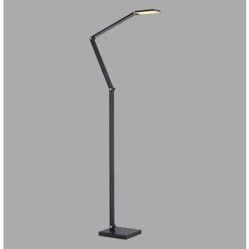 SAMSKY Lampadaire Luminaires Paul Neuhaus LED Gris, 1 lumière